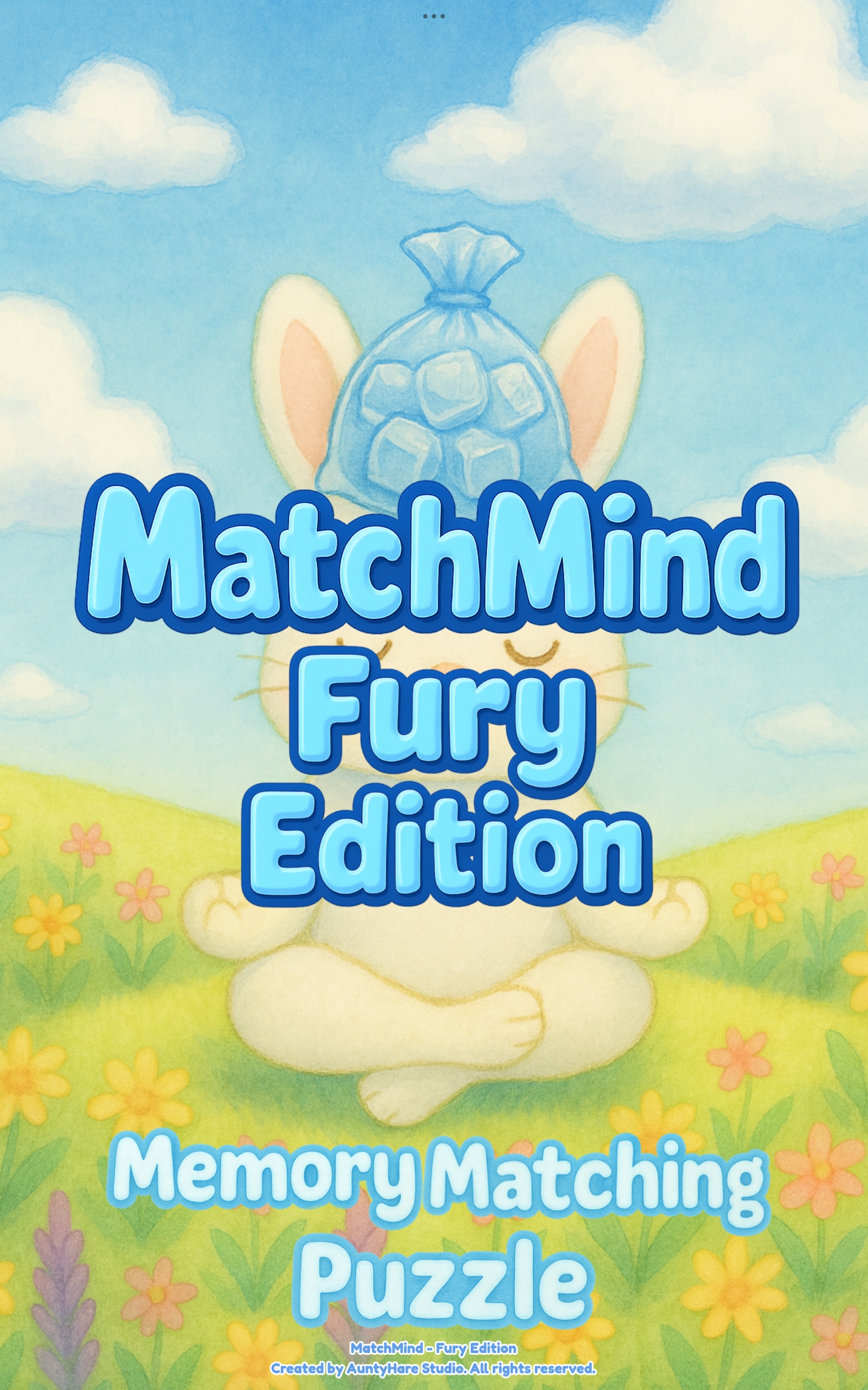 MatchMind Fury Enter the Game